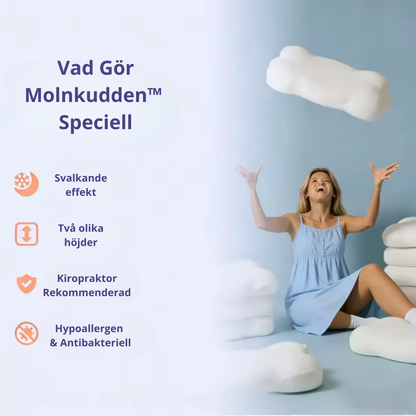 Ergonomisk Molnkudde